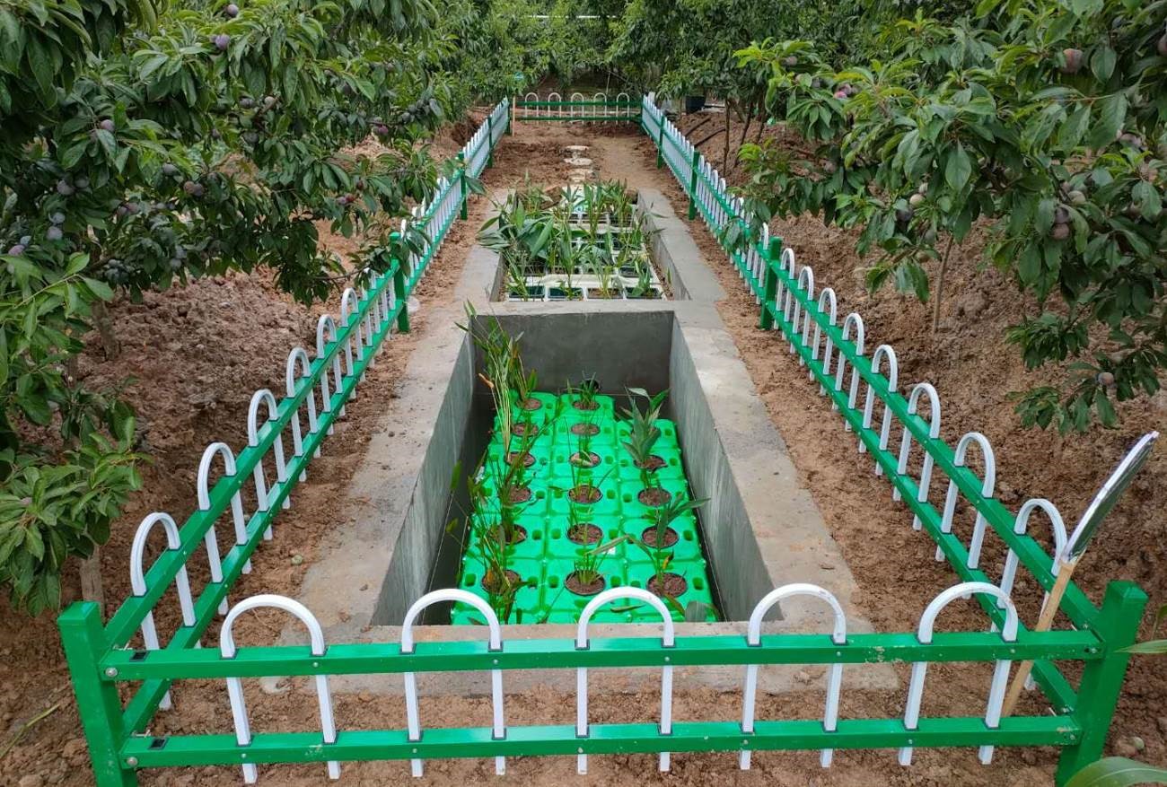 阿里巴巴資深會(huì)員