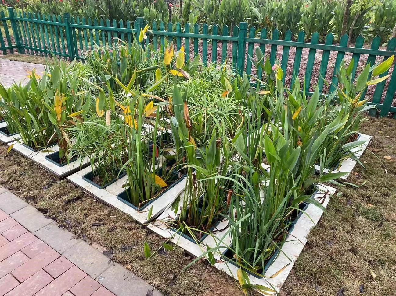 生產(chǎn)設(shè)備